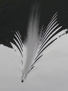 CCbyNC @vlacambre om-d-75mm-f2